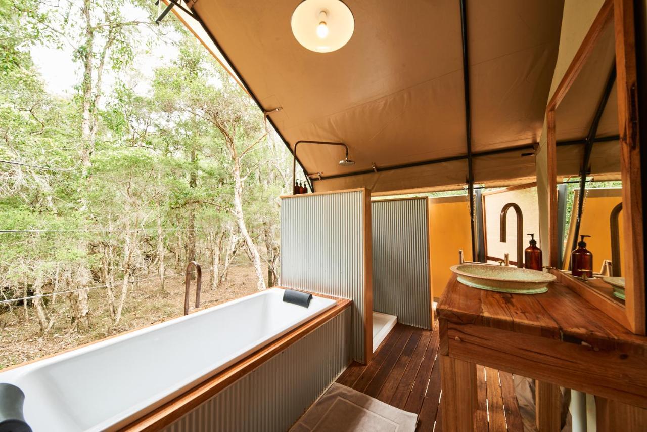 Deluxe Safari Tent,1376782370:JPEG
